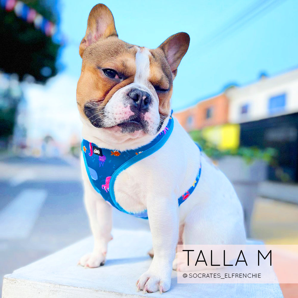 Pechera Ajustable Bajo El Mar