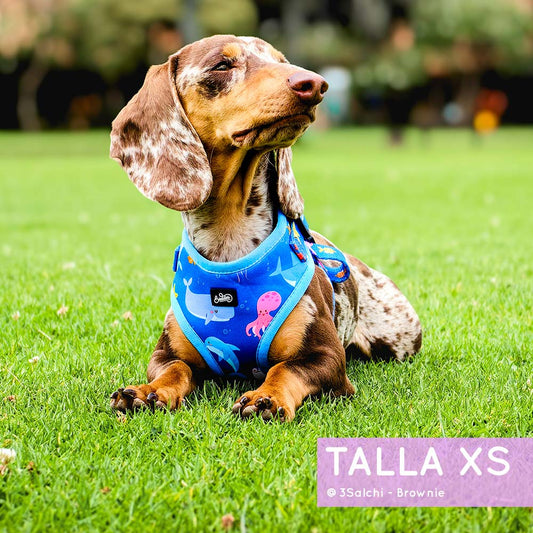 Pechera Ajustable Bajo El Mar