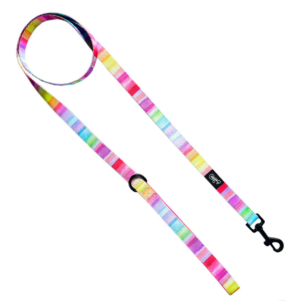 Correa The New Rainbow