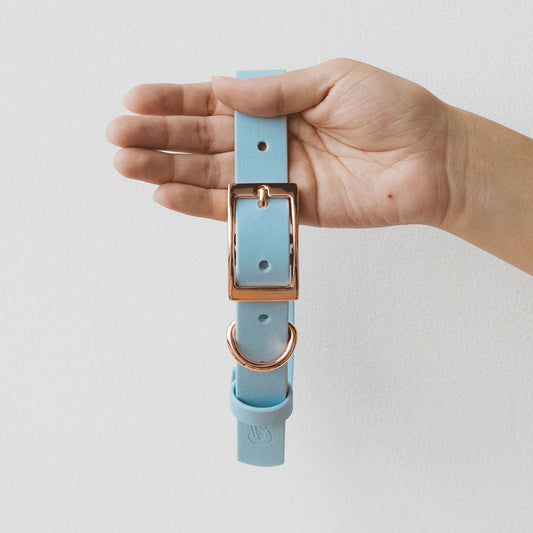 Collar Wet Sky Blue
