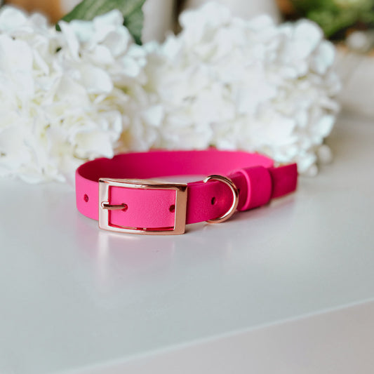 Collar Wet Neon Pink