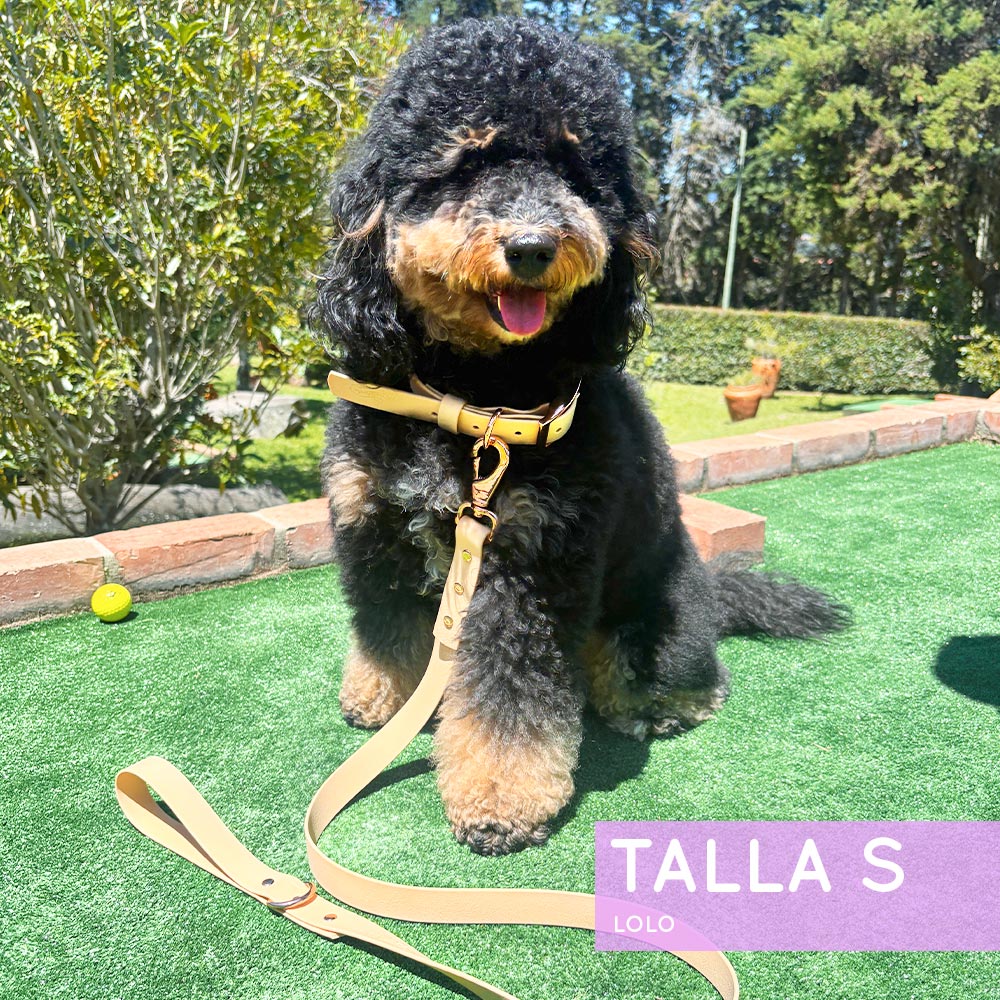 Collar Wet Peach Cream