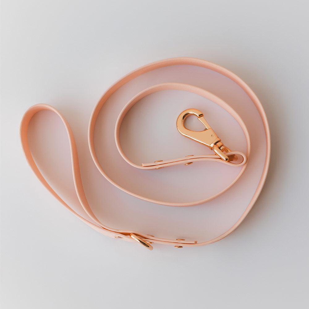 Correa Wet Rosewater