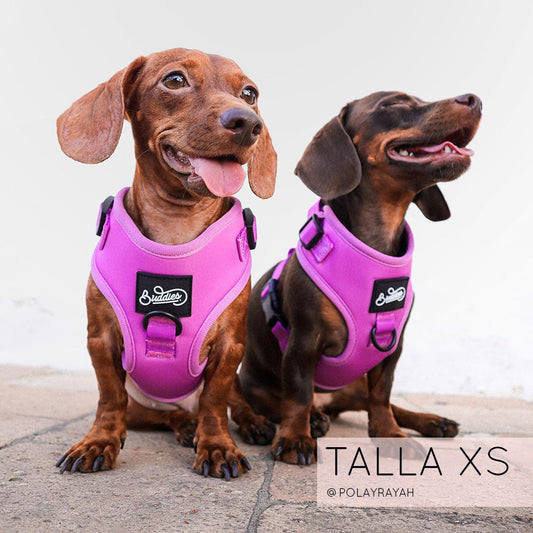 Pechera Ajustable Basic Magenta