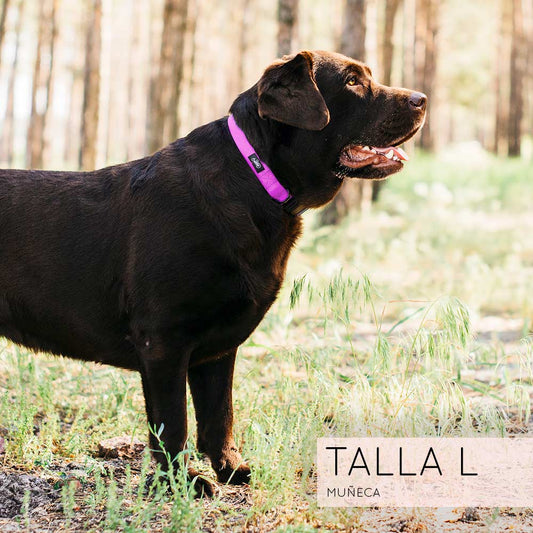 Conjunto Collar Basic Magenta