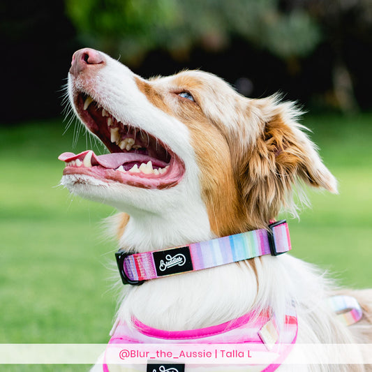 Conjunto Collar The New Rainbow
