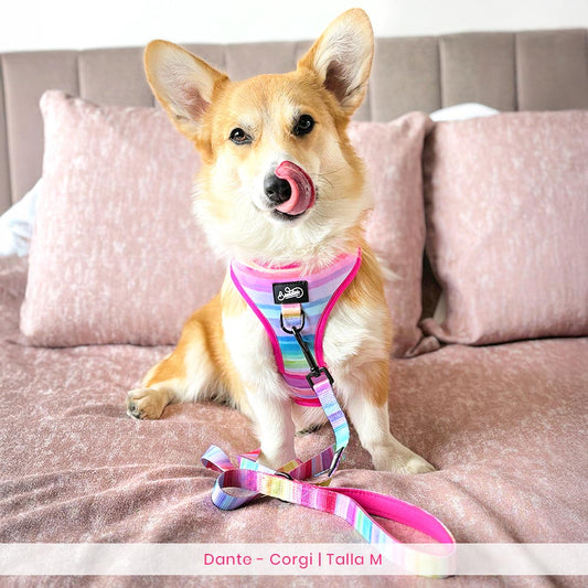 Pechera Ajustable The New Rainbow