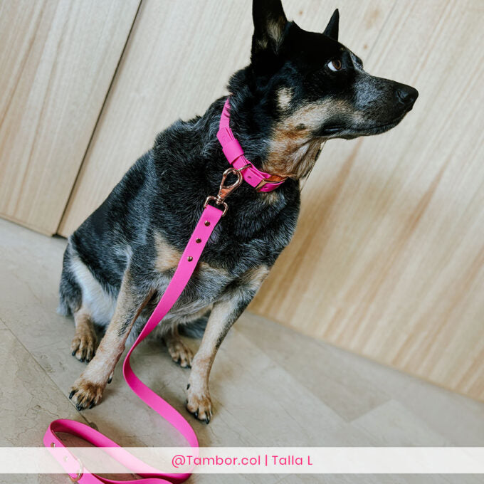 Correa Wet Neon Pink