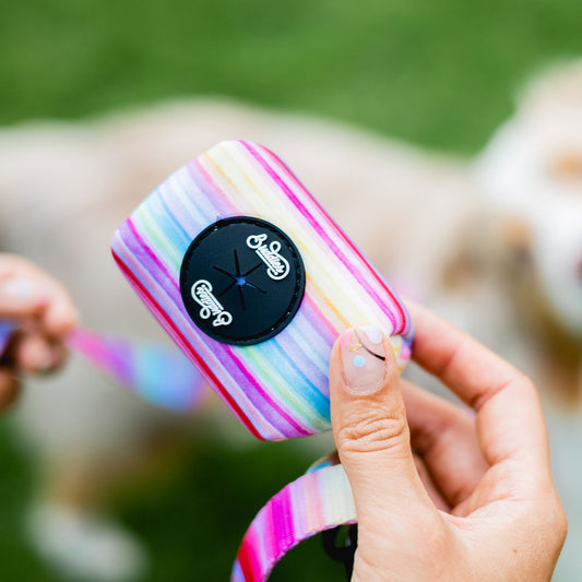 Porta Bolsas The New Rainbow