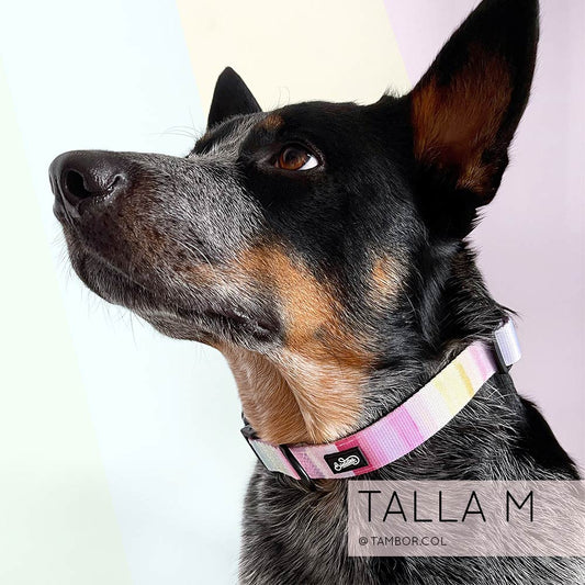 Conjunto Collar Rainbow