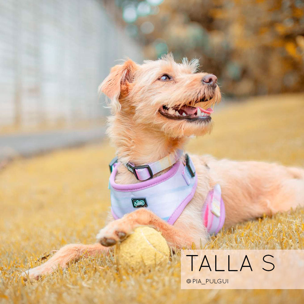 Conjunto Collar Rainbow