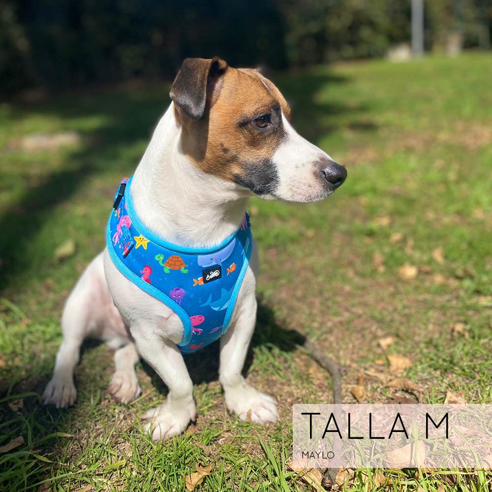 Pechera Ajustable Bajo El Mar