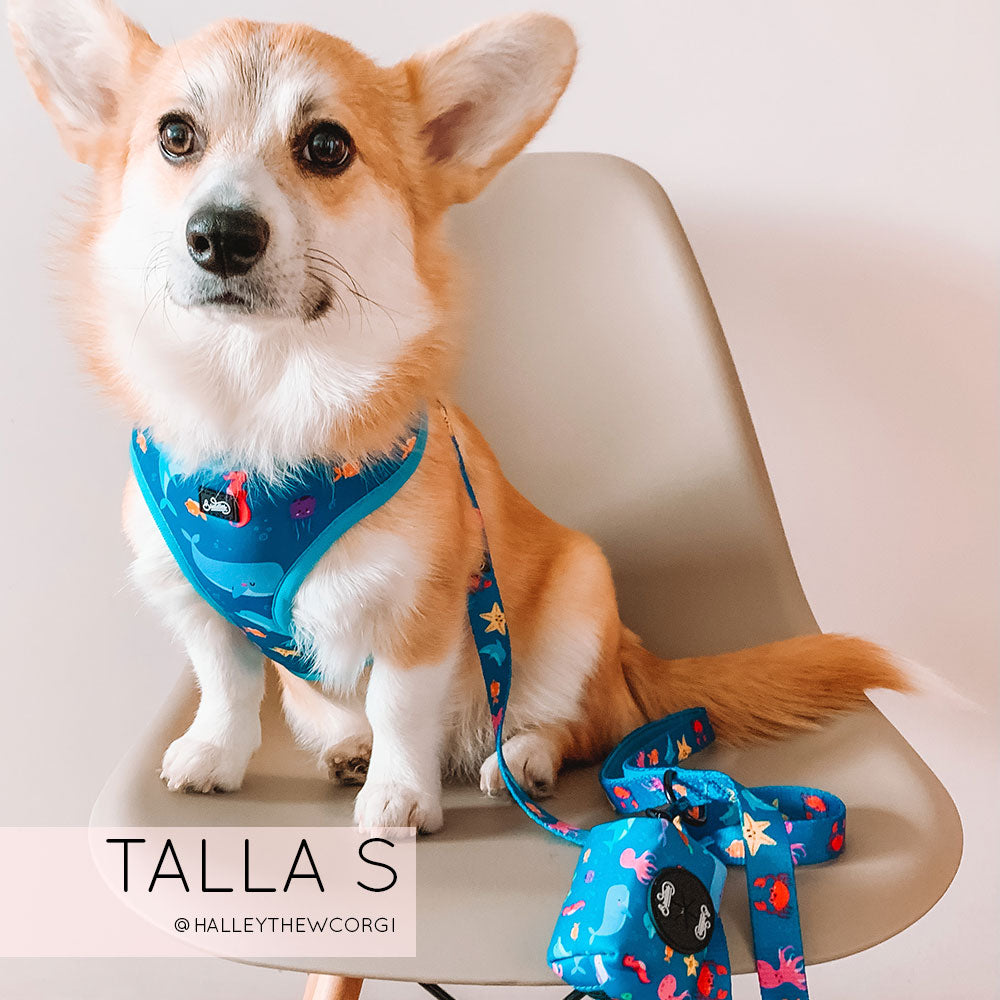 Pechera Ajustable Bajo El Mar