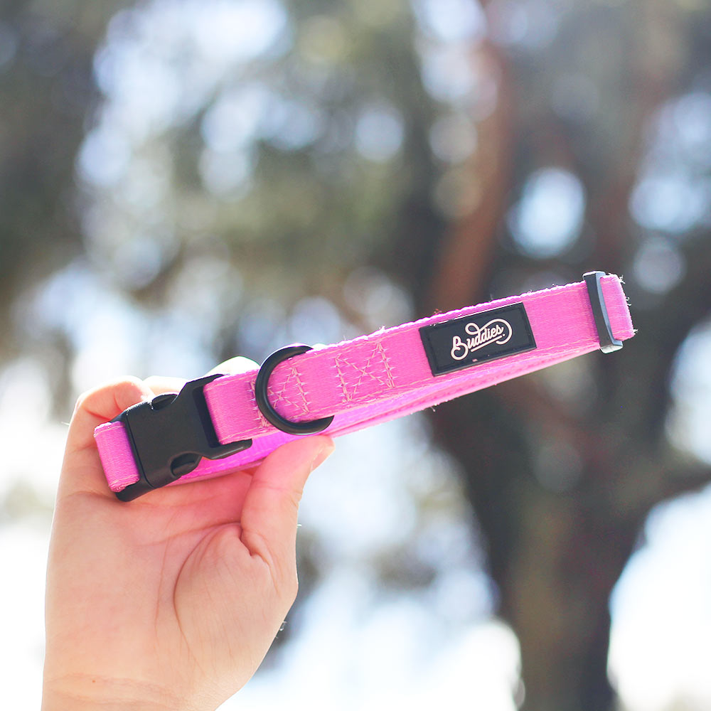 Collar Basic Magenta