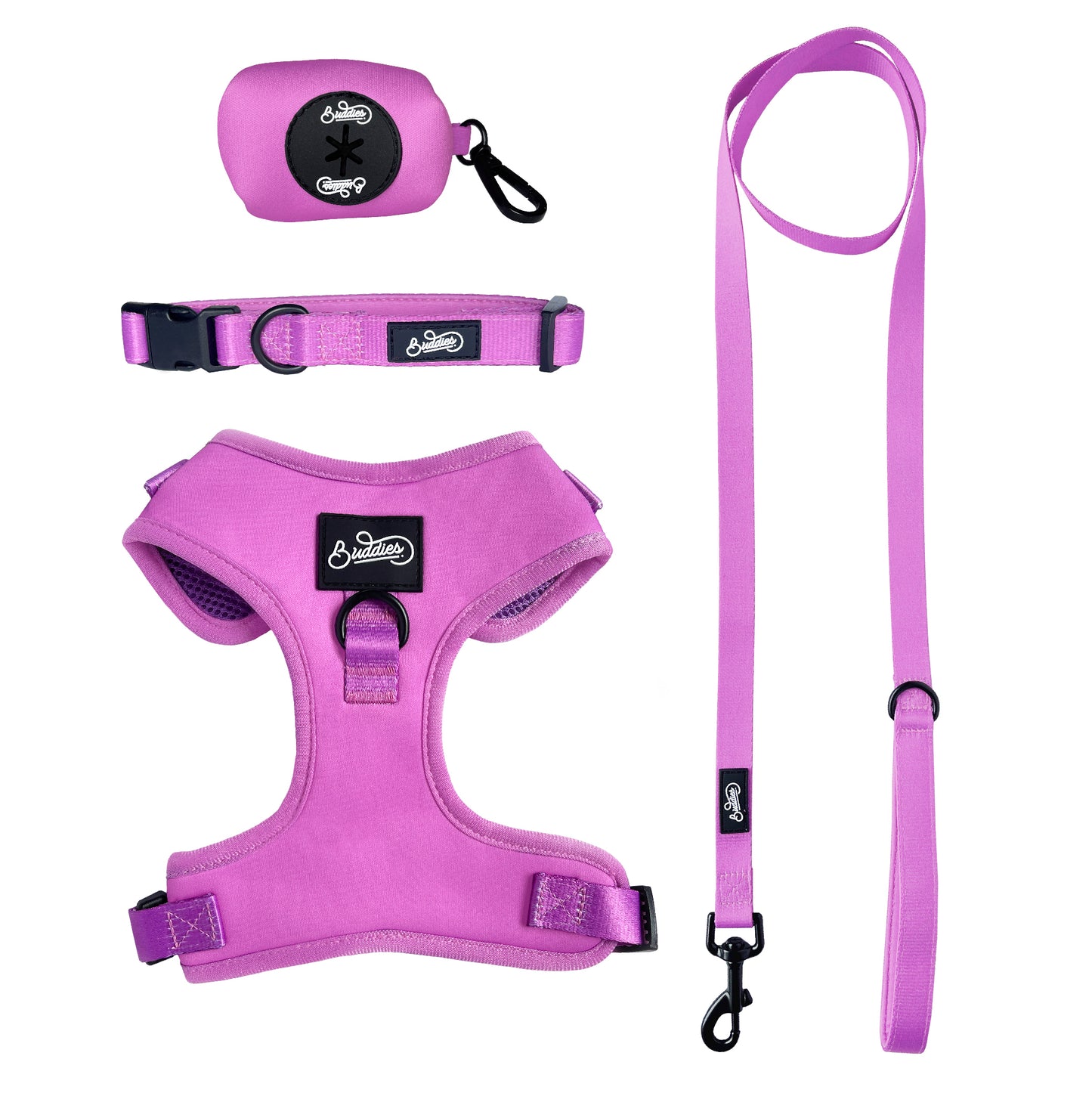 Conjunto Basic Magenta