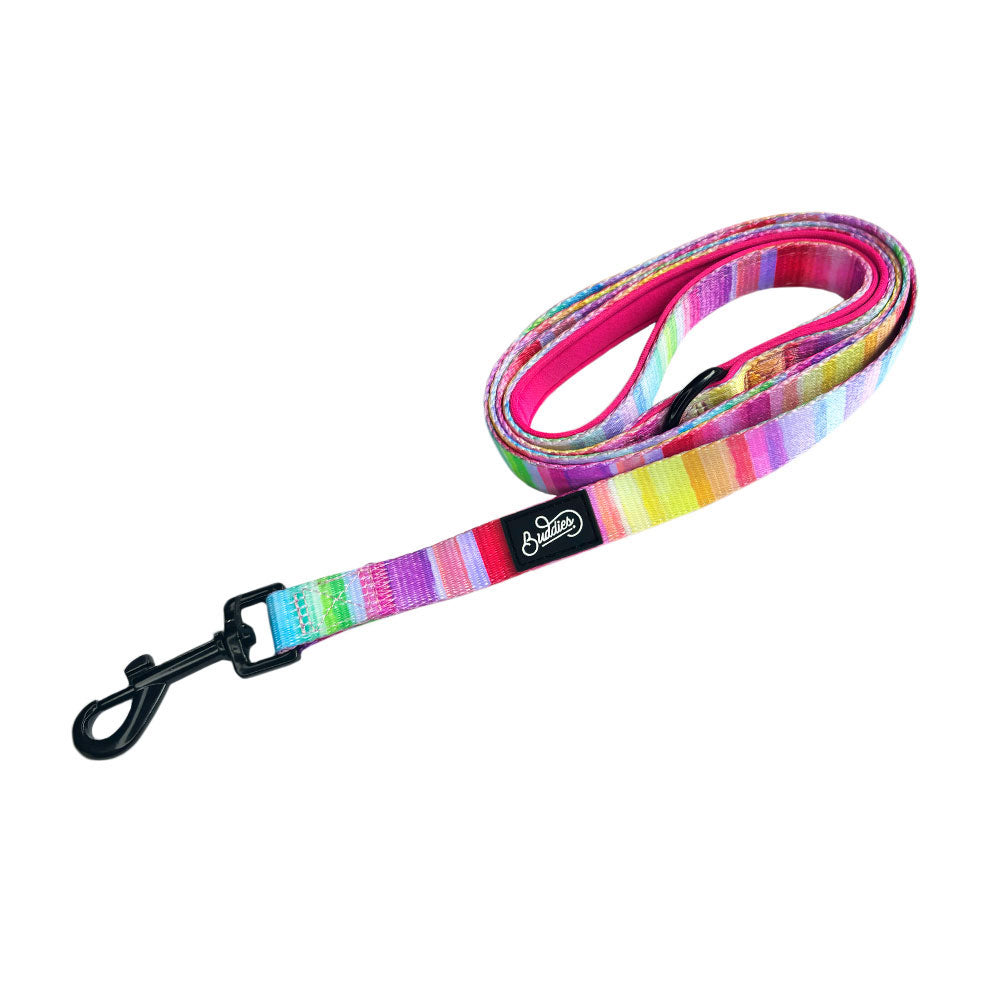 Correa The New Rainbow