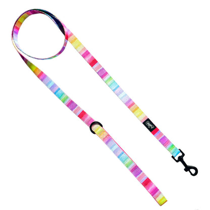 Correa The New Rainbow