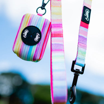 Correa The New Rainbow