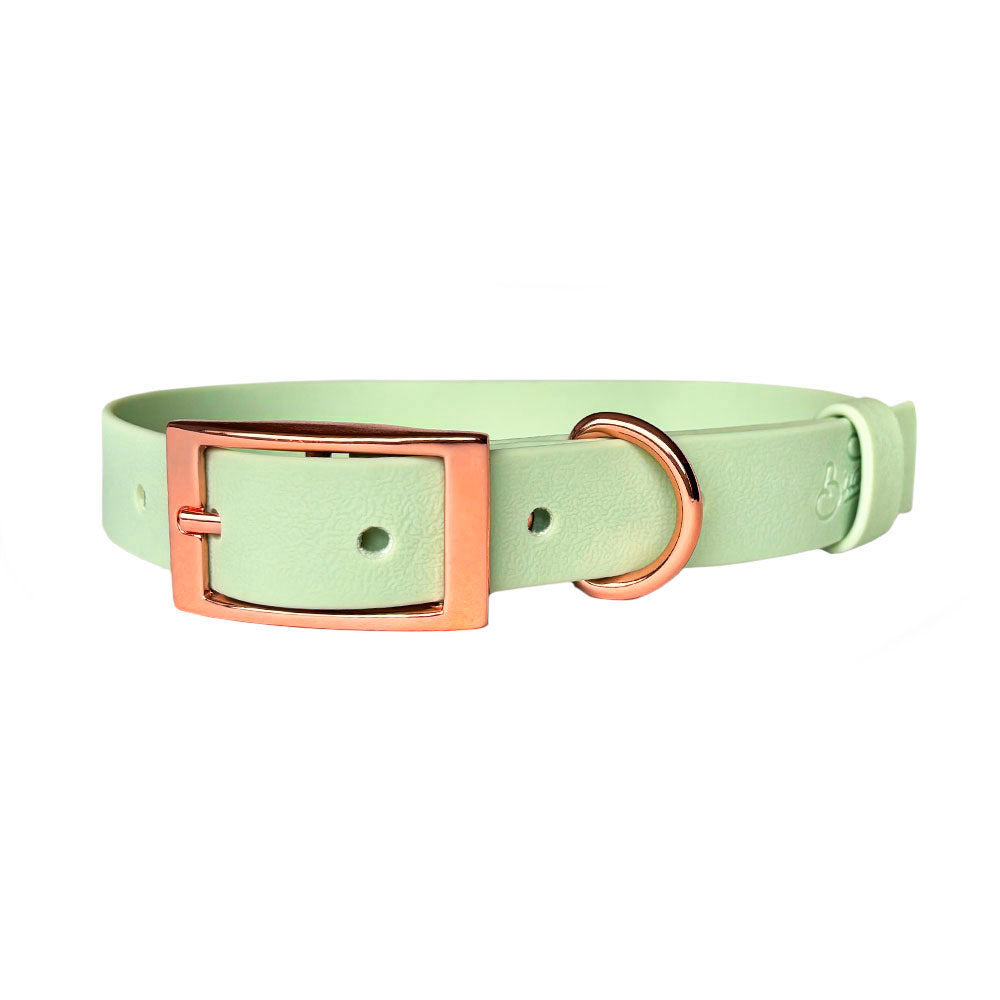Collar Wet Mint