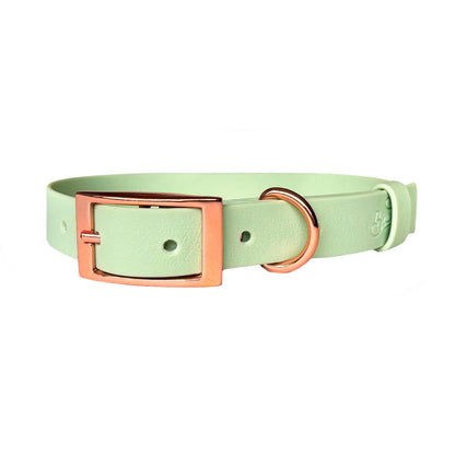 Collar Wet Mint