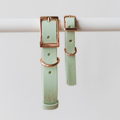 Collar Wet Mint