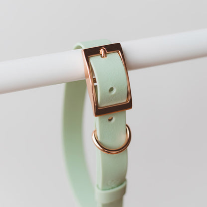 Collar Wet Mint