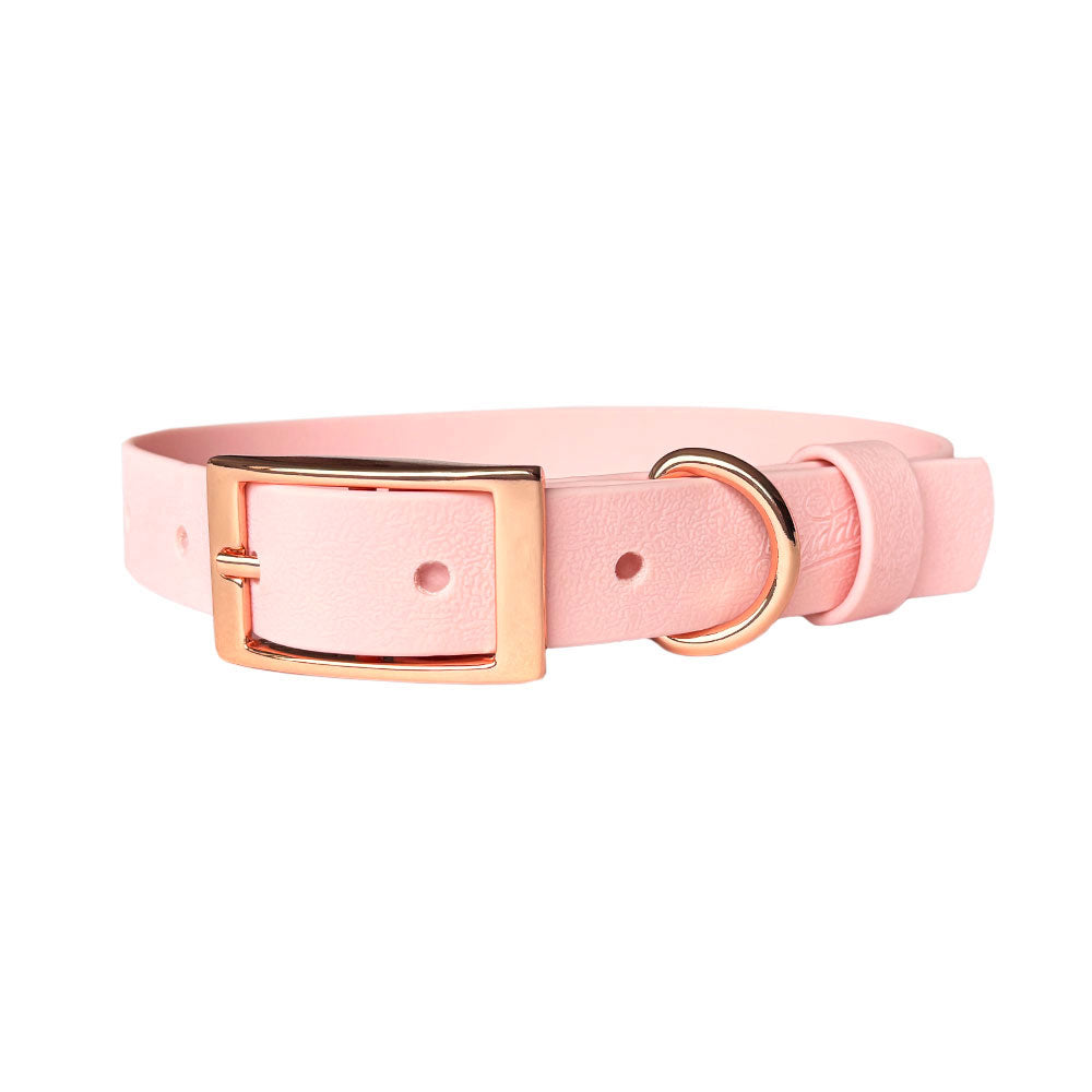 Collar Wet Rosewater