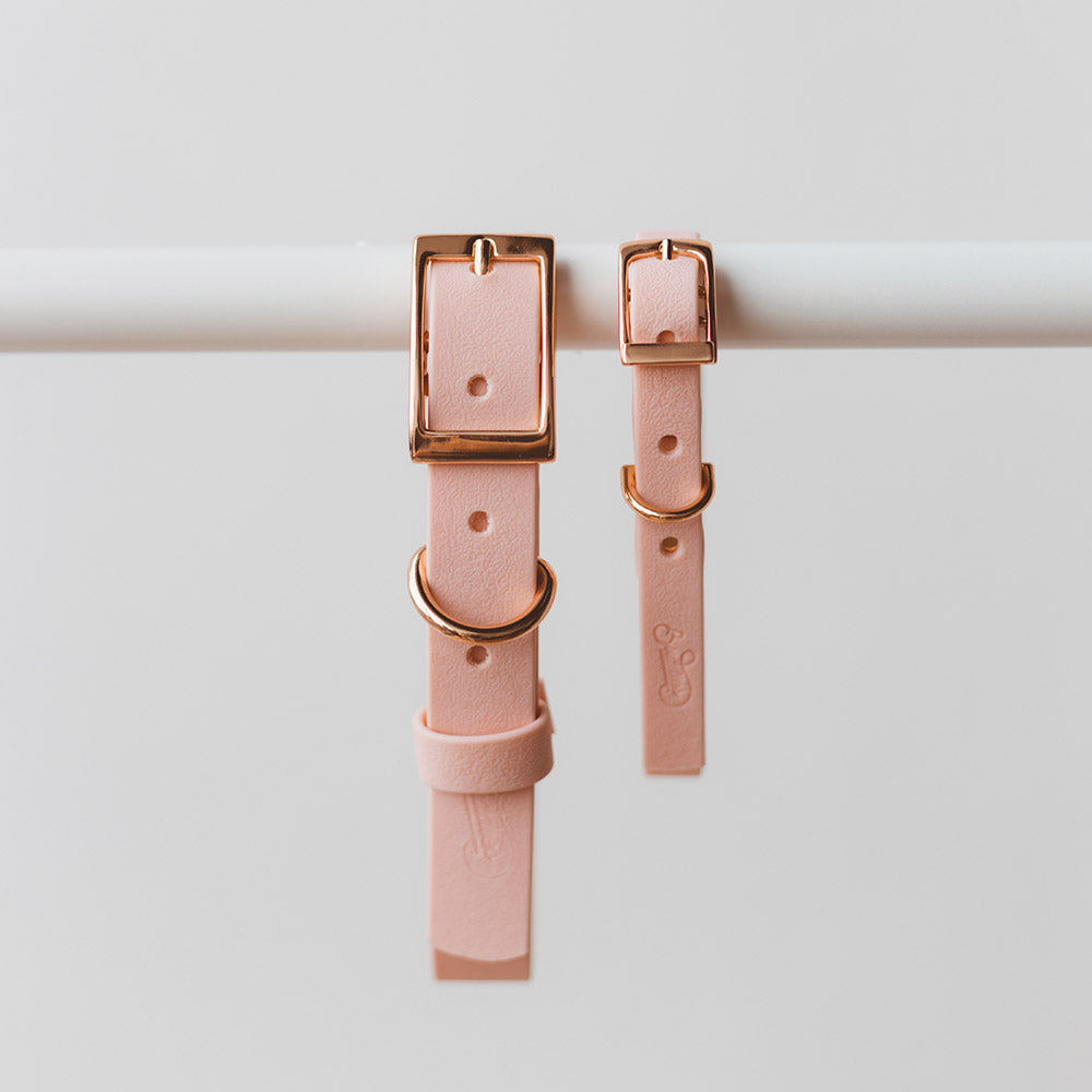 Collar Wet Rosewater