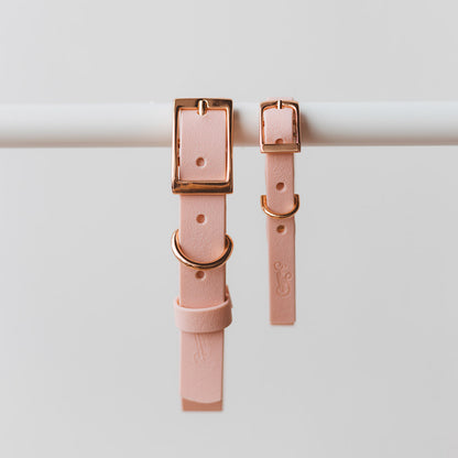 Collar Wet Rosewater