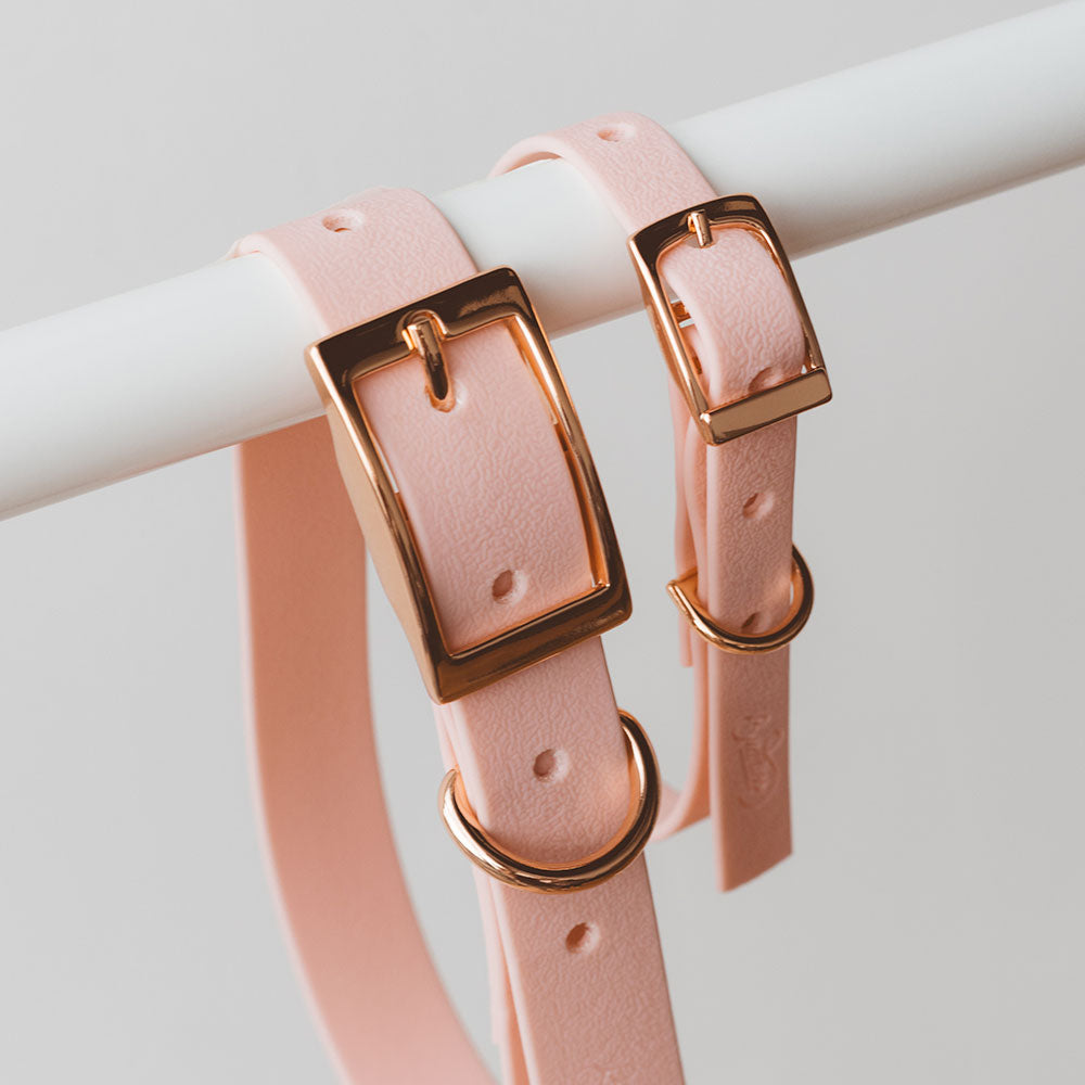 Collar Wet Rosewater