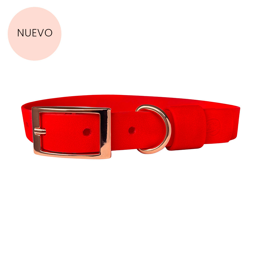 Collar Wet Scarlet