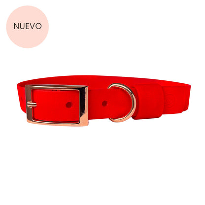 Collar Wet Scarlet