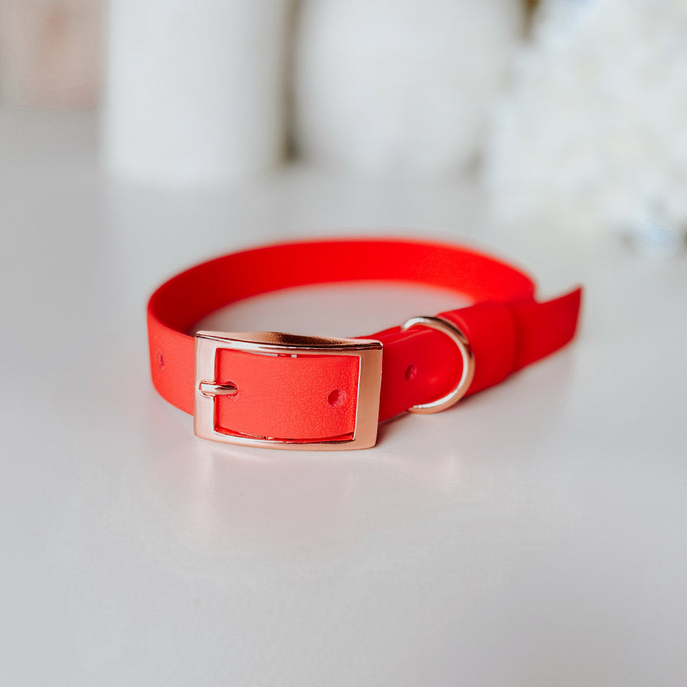 Collar Wet Scarlet