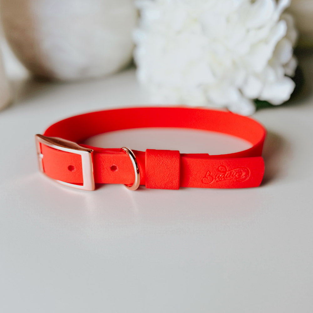 Collar Wet Scarlet