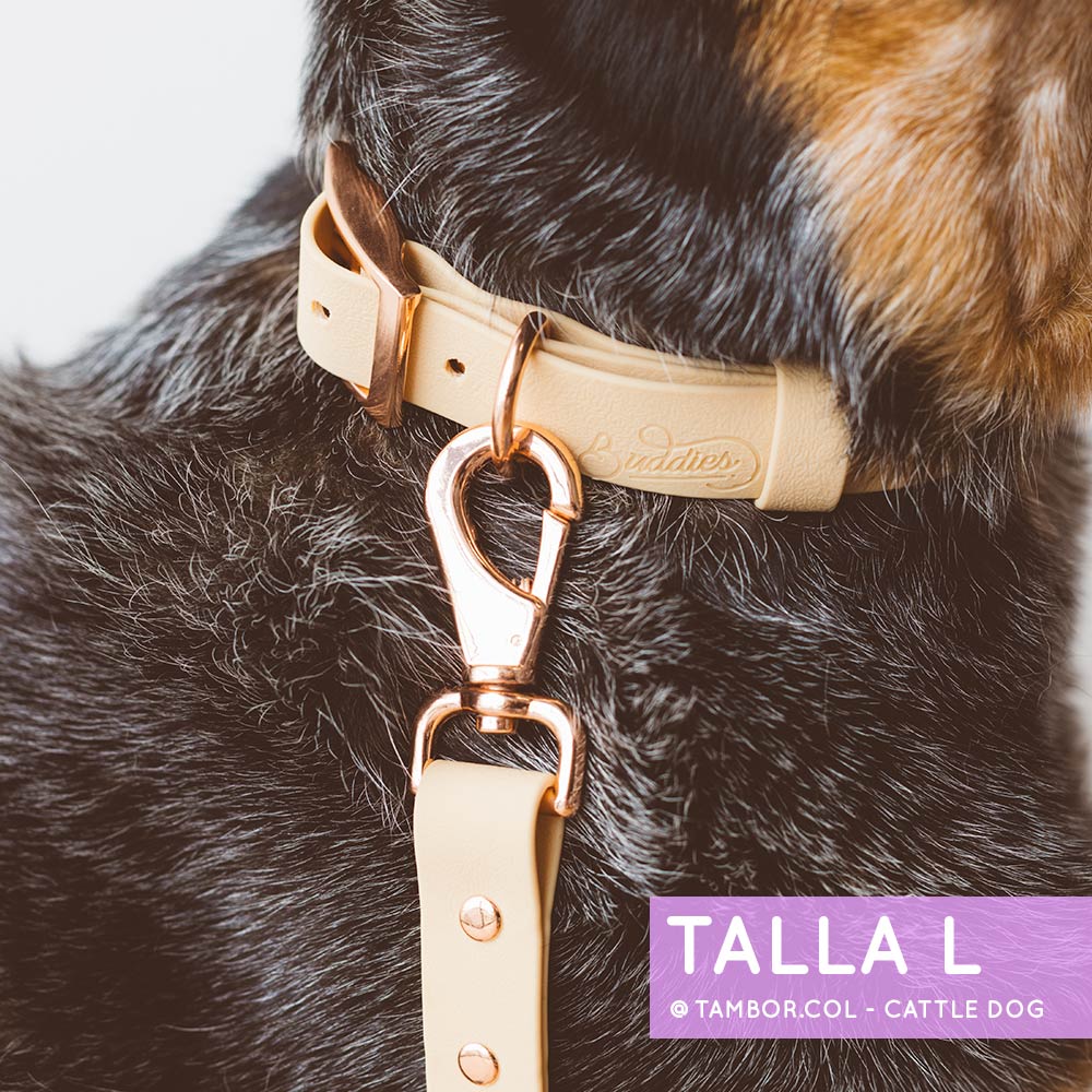 Collar Wet Peach Cream