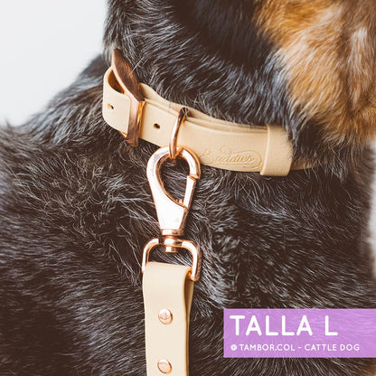 Collar Wet Peach Cream