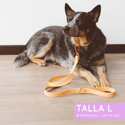 Collar Wet Peach Cream