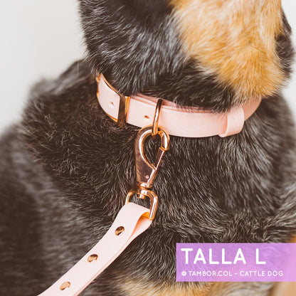 Collar Wet Rosewater