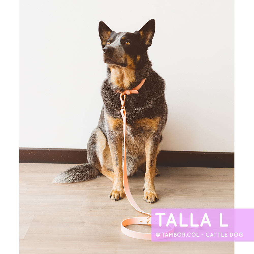 Collar Wet Rosewater