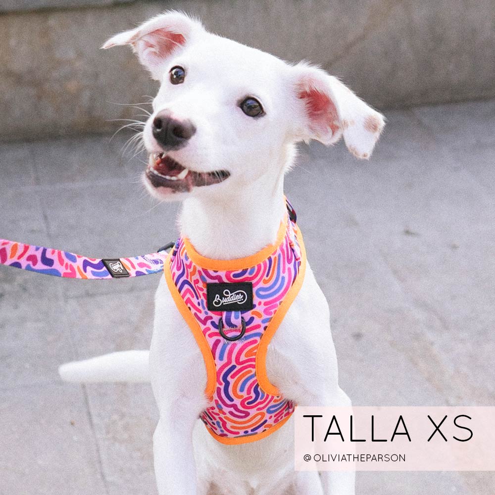 Pechera Ajustable Candy