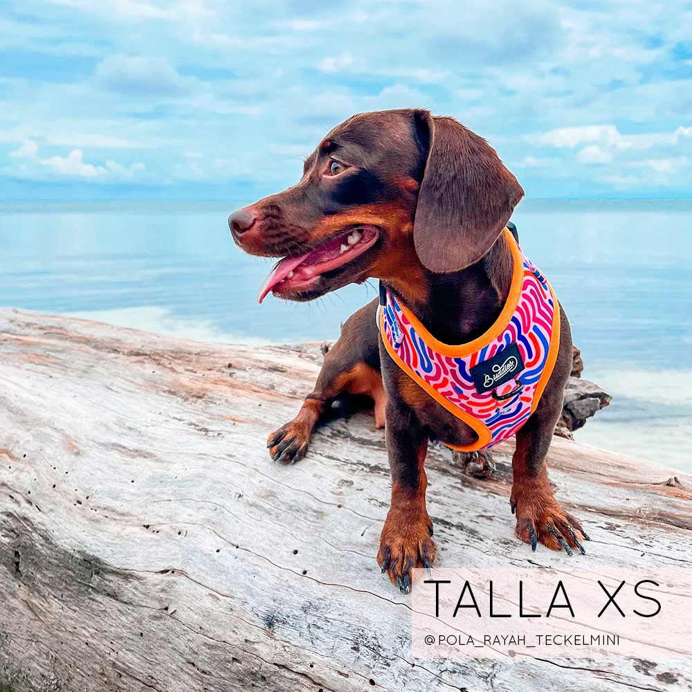 Pechera Ajustable Candy