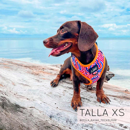 Pechera Ajustable Candy