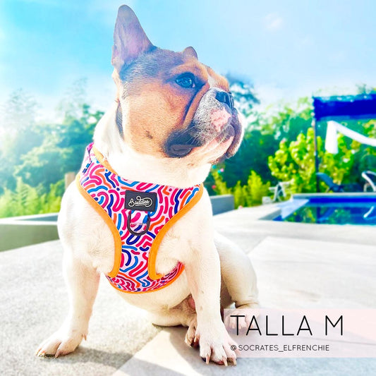 Pechera Ajustable Candy