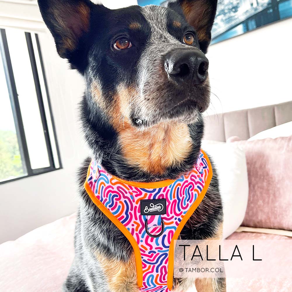 Pechera Ajustable Candy