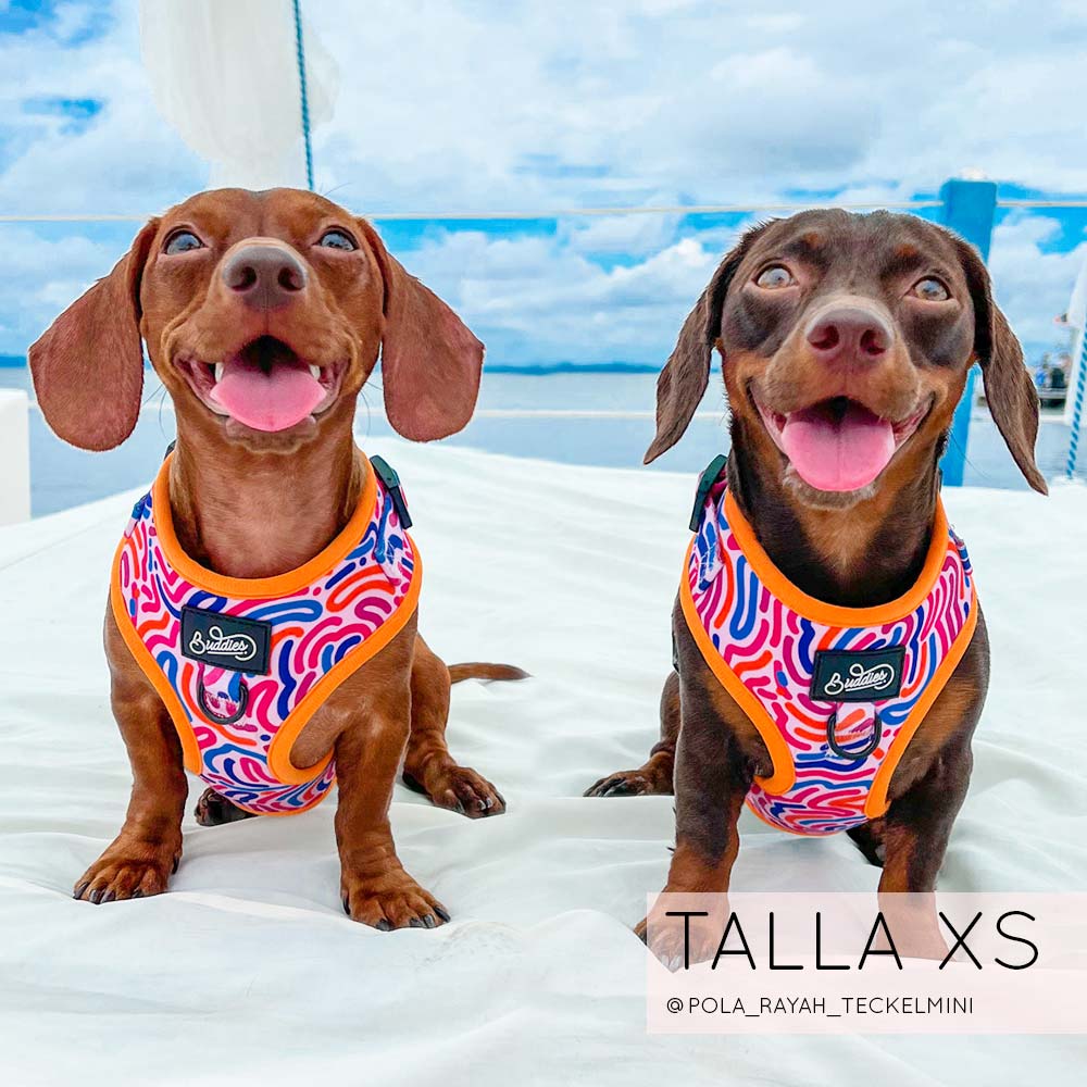 Pechera Ajustable Candy