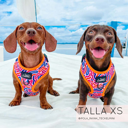 Pechera Ajustable Candy