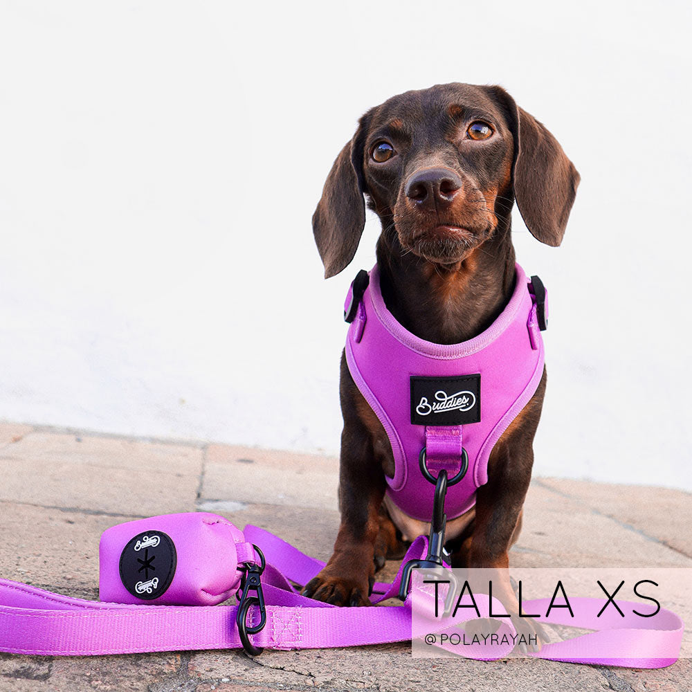 Pechera Ajustable Basic Magenta