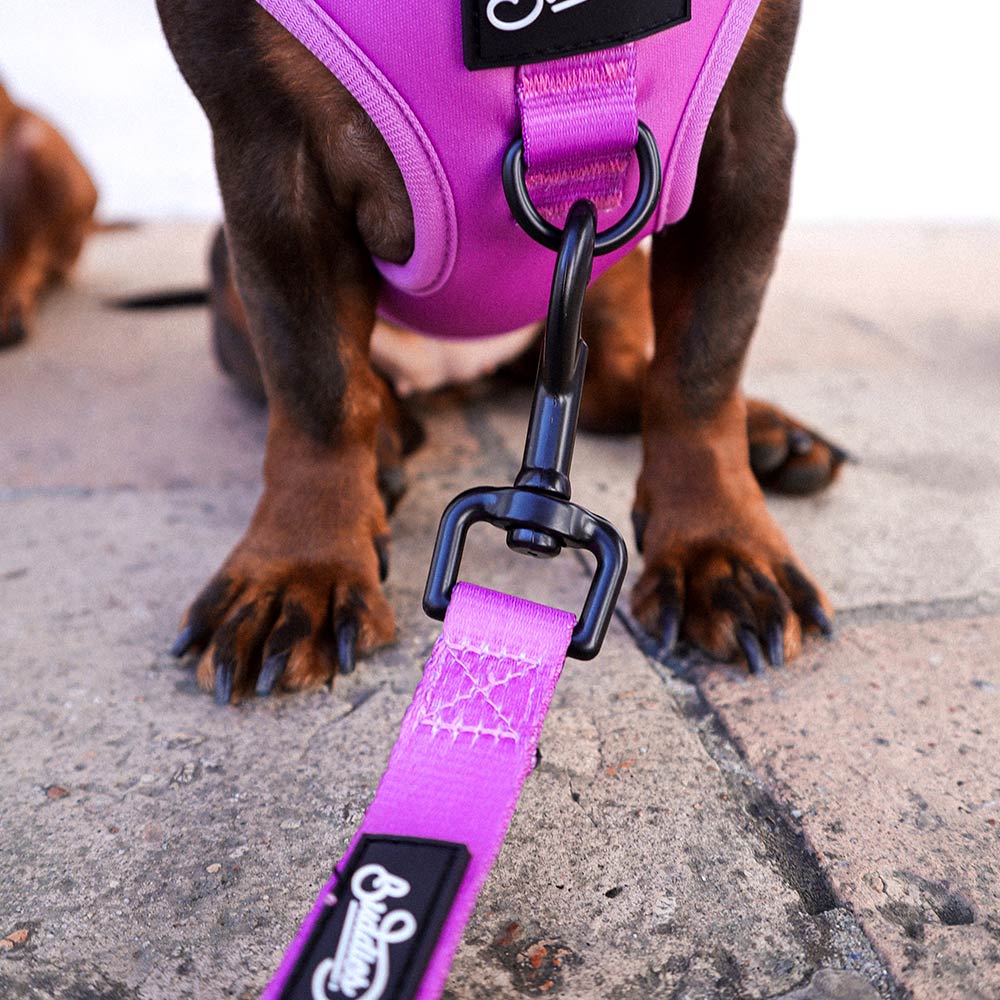 Correa Basic Magenta