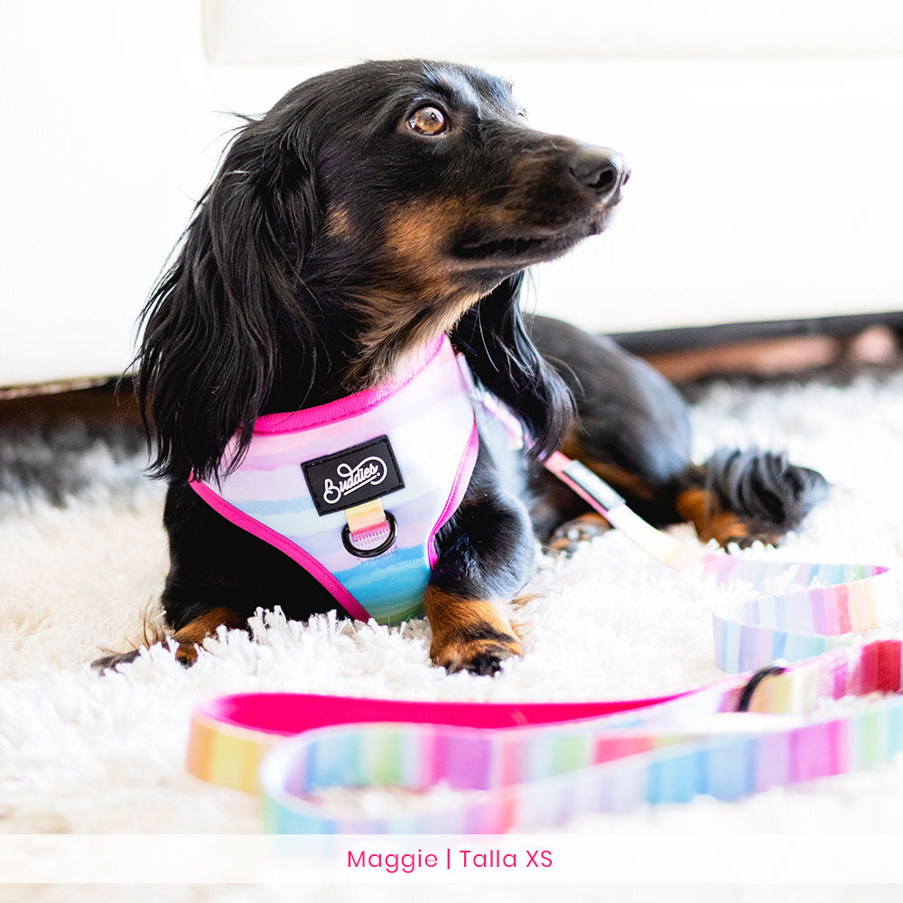 Conjunto The New Rainbow