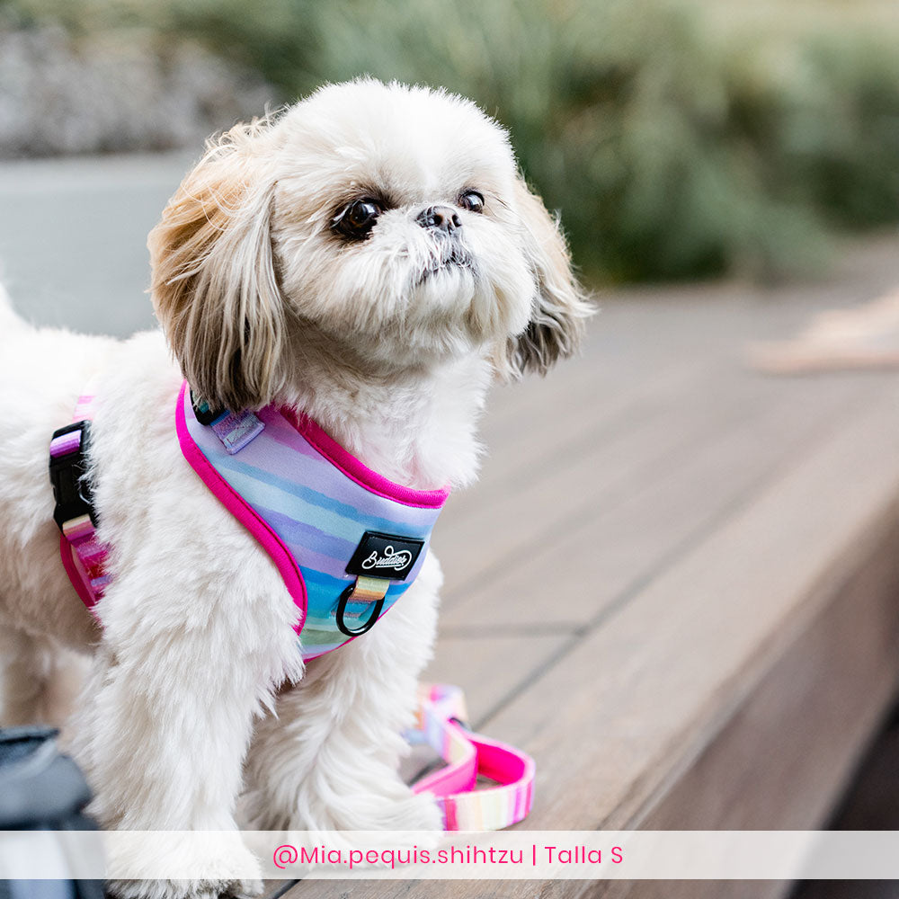 Conjunto The New Rainbow